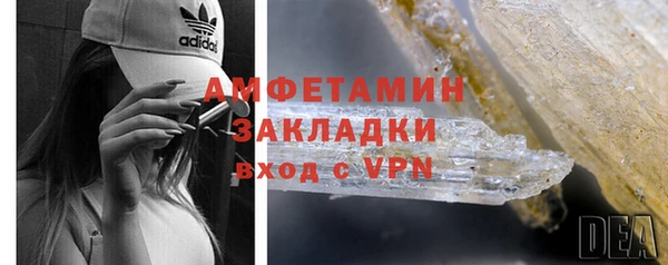 прущие грибы Богданович