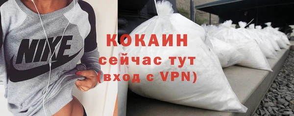 не бодяженный Бородино