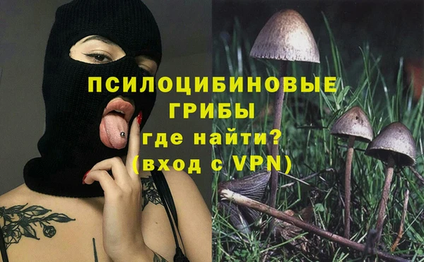 не бодяженный Бородино