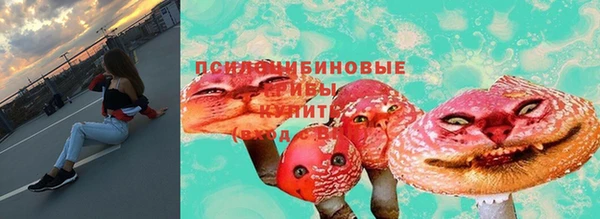 не бодяженный Бородино