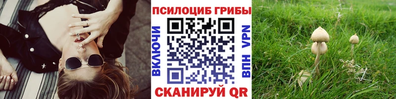 Галлюциногенные грибы Cubensis  Медынь 